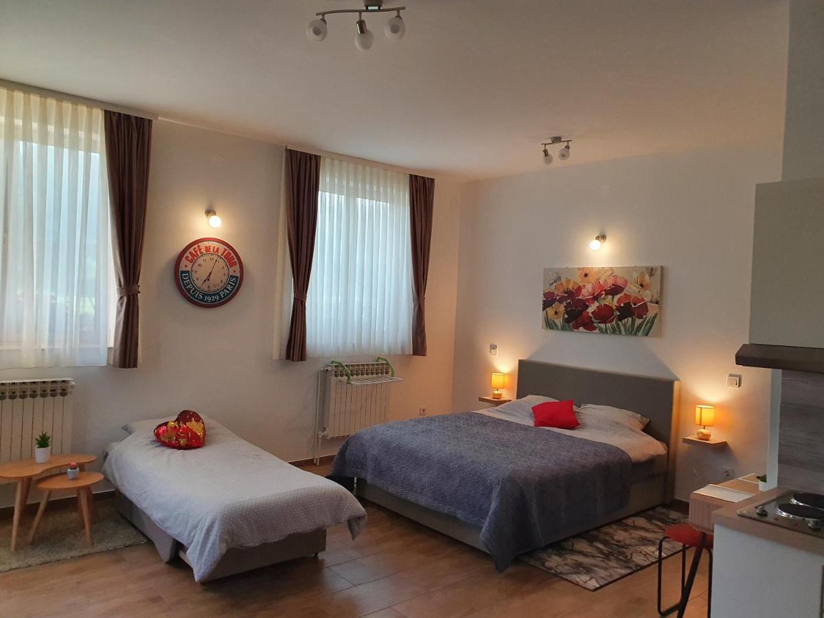 Studio Apartmani Toplicka Bajka Krapinske Toplice Exteriör bild